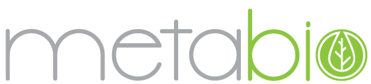 Dublin Logo